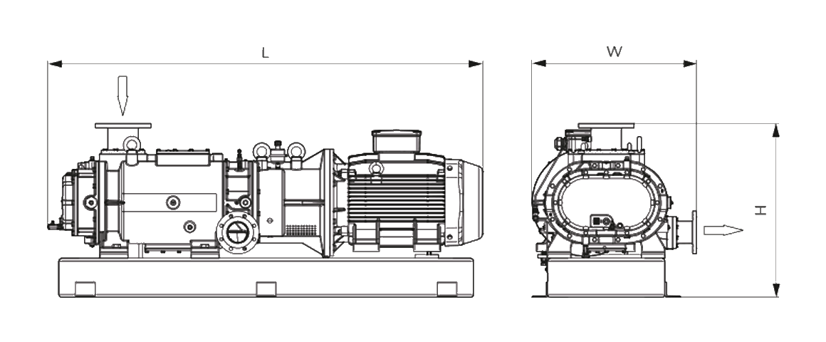 COBRA AC 1000 F VR螺桿真空泵